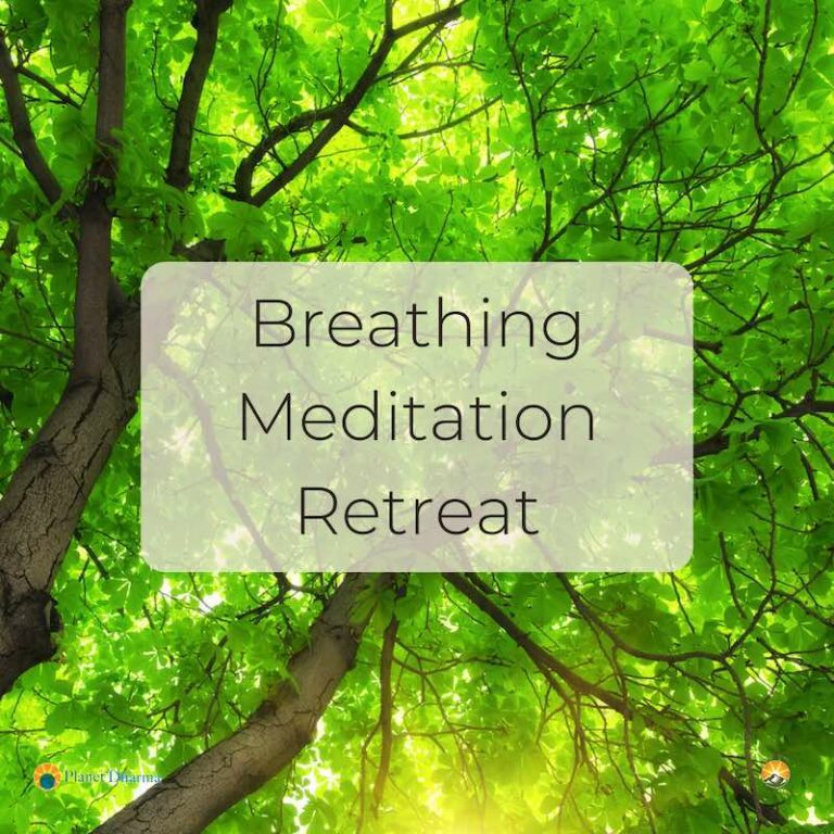 Insight Meditation Retreat