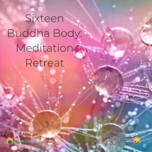 16 Buddha Body Practice (In-Person Meditation Retreat)